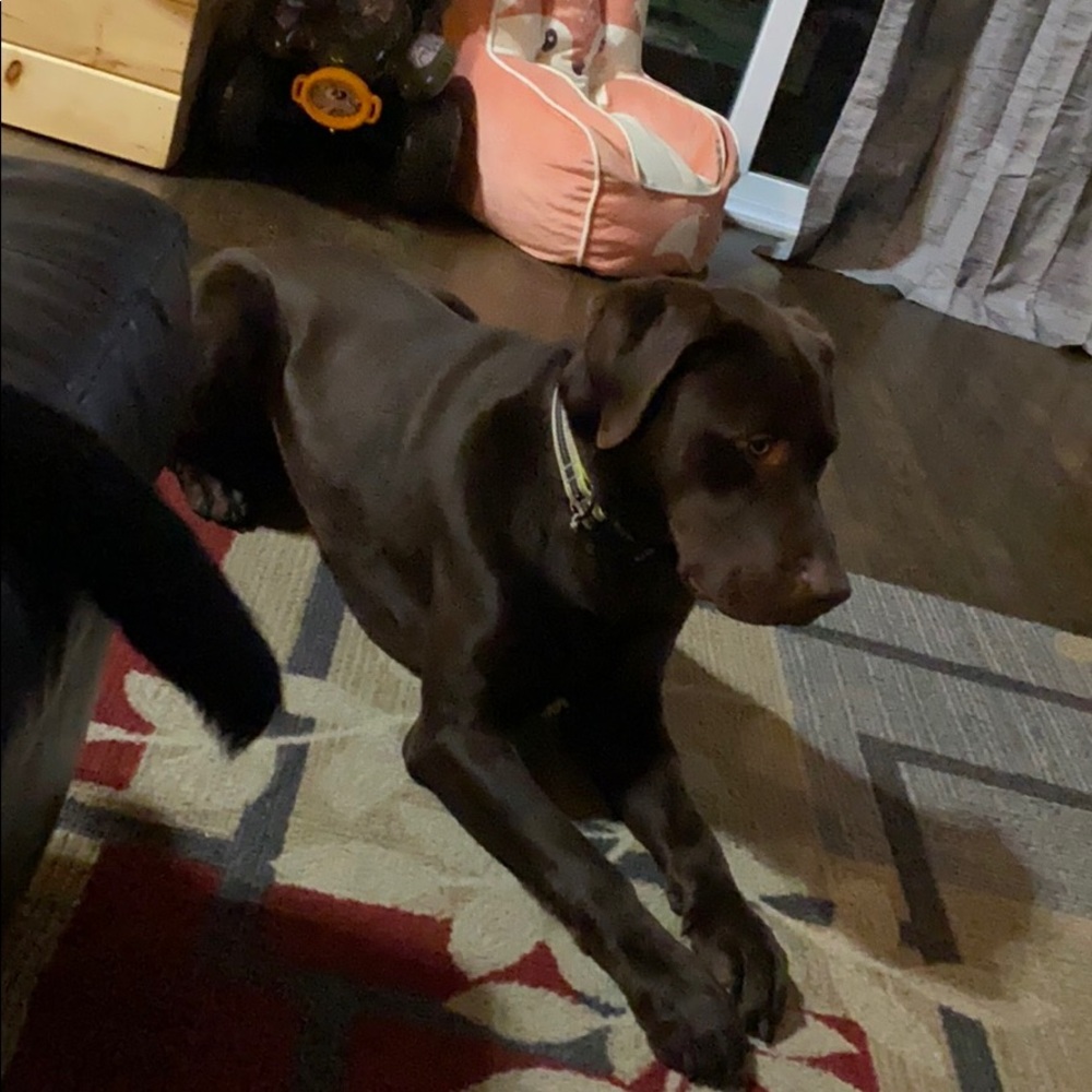 Meet your Posher, Jaime